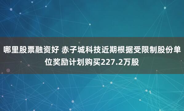 哪里股票融资好 赤子城科技近期根据受限制股份单位奖励计划购买227.2万股