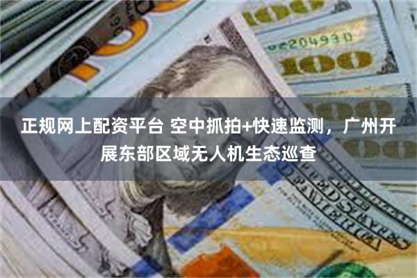 正规网上配资平台 空中抓拍+快速监测，广州开展东部区域无人机生态巡查