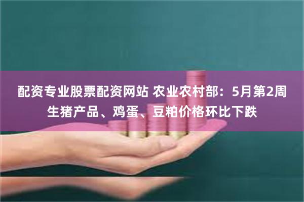 配资专业股票配资网站 农业农村部：5月第2周生猪产品、鸡蛋、豆粕价格环比下跌