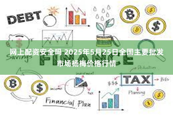 网上配资安全吗 2025年5月25日全国主要批发市场杨梅价格行情