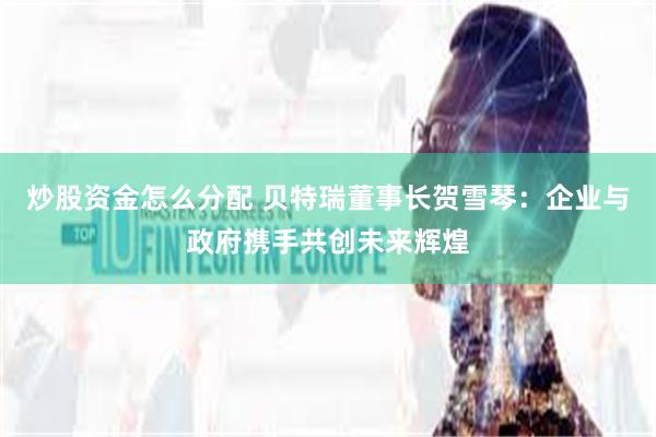 炒股资金怎么分配 贝特瑞董事长贺雪琴：企业与政府携手共创未来辉煌